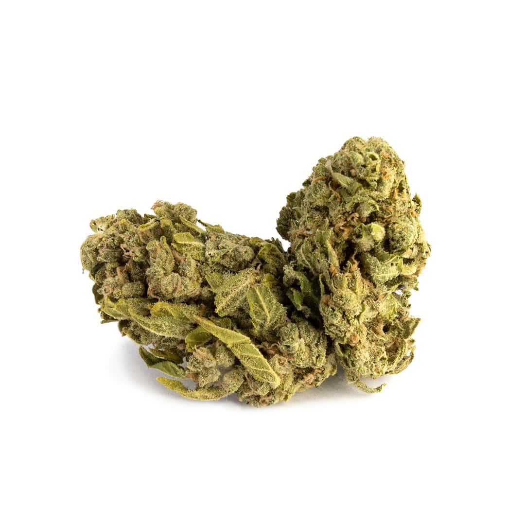 Green House - Apricot Haze