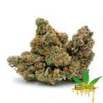 Enigma Extracts - Cactus Jack