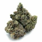 Sun Peaks Cultivation - Jedi Kush