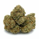 Popcorn Bubble Gum Cheese