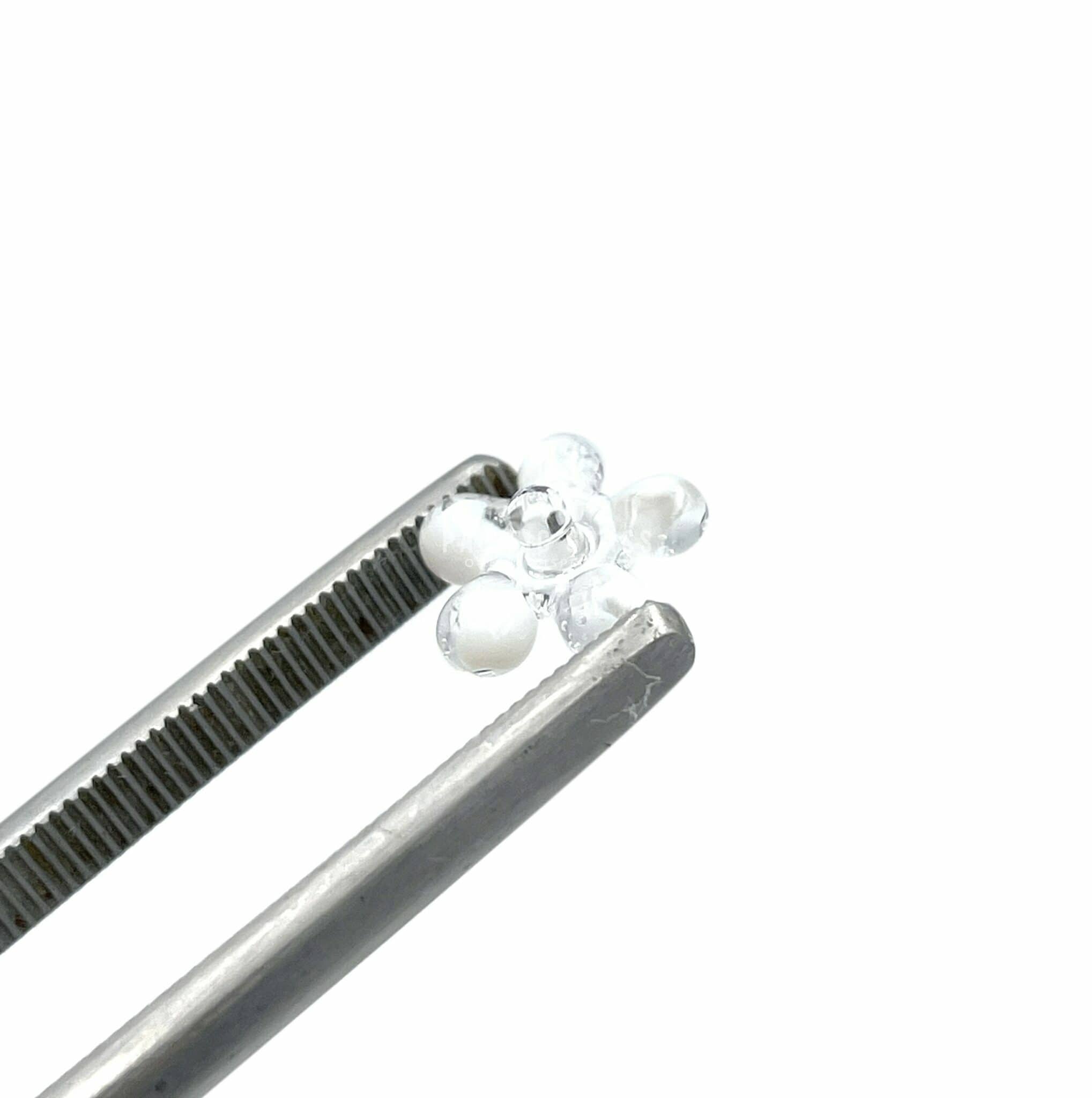 Glass Screens - Daisy Small x 5