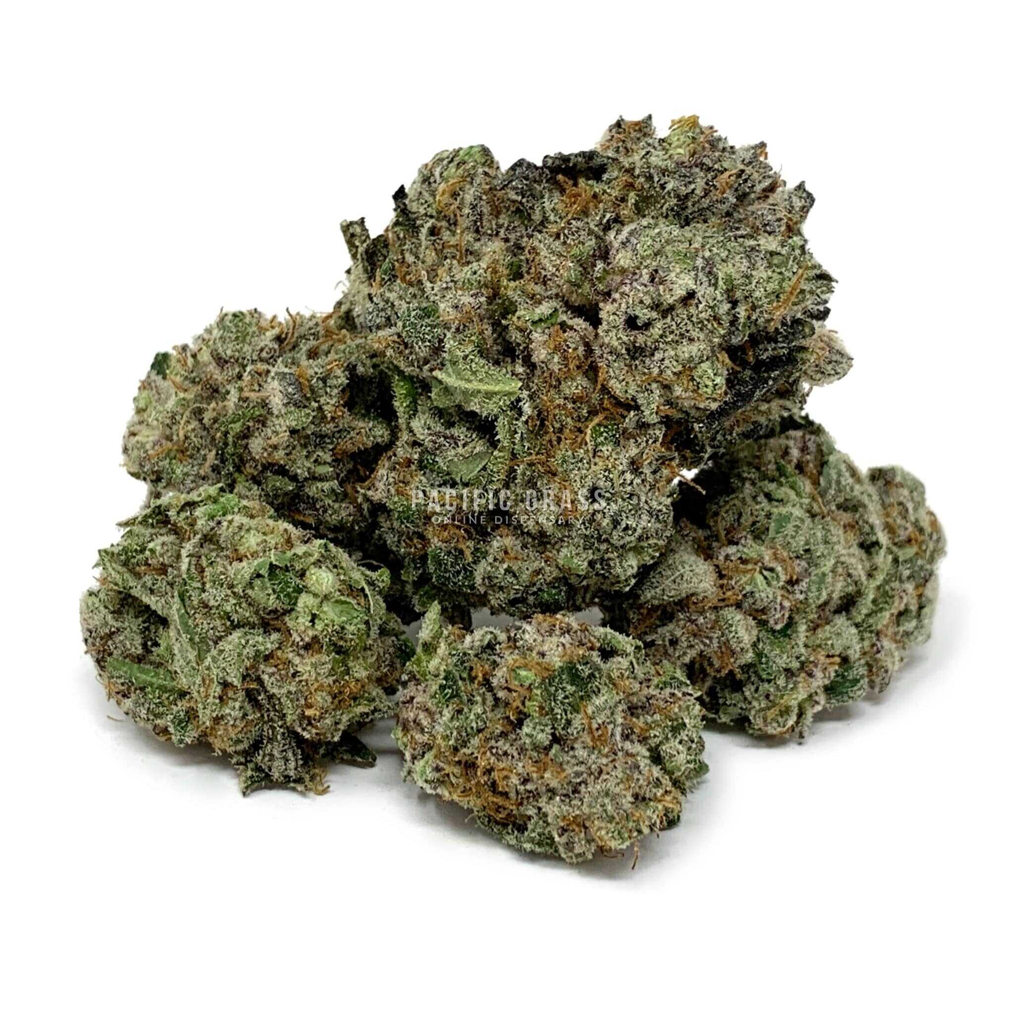 Enigma Extracts - Eleven Roses - AAAA