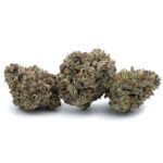 Sun Peaks Cultivation - Jet Fuel Gelato