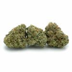 Enigma Extracts - Tina