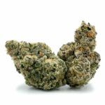 Enigma Extracts - 33rd Degree