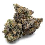 Enigma Extracts - Point Break