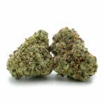 Enigma Extracts - Tina