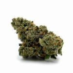 Enigma Extracts - Wild Animal Cookies