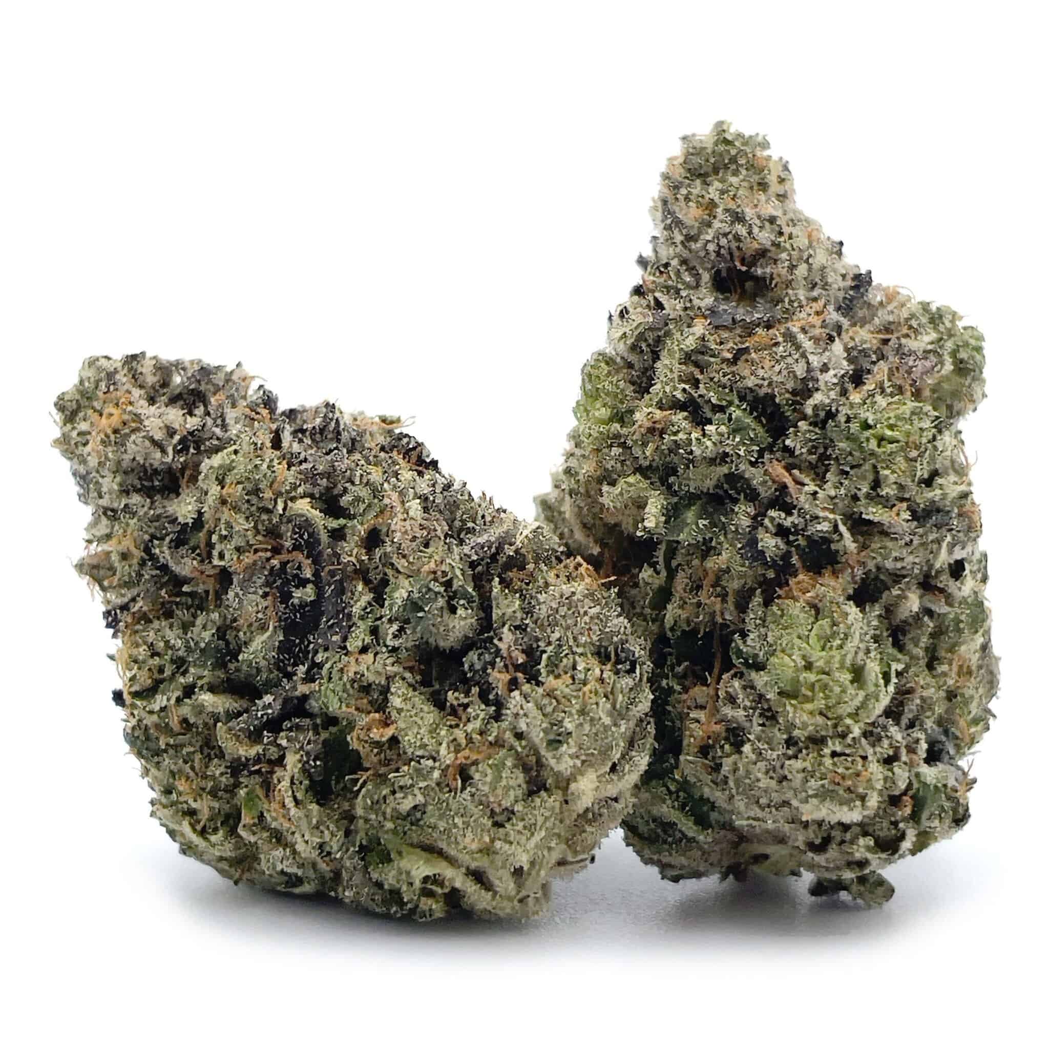 Sun Peaks Cultivation - MKU