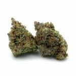 Sun Peaks Cultivation - Donkey Butter