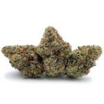 Enigma Extracts - Greasy Runtz