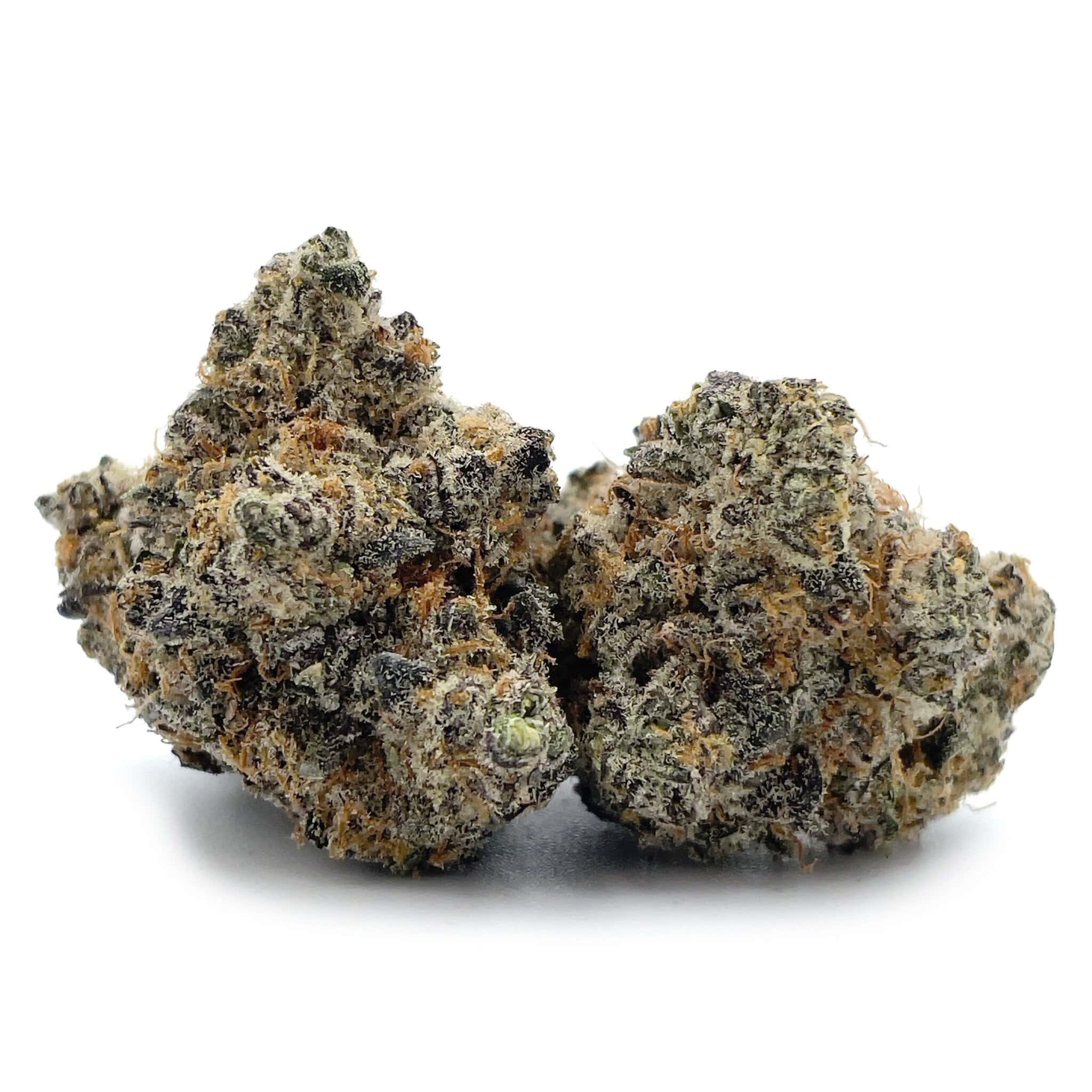 Sun Peaks Cultivation - 24K Gold