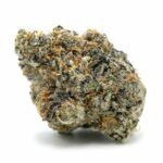 Enigma Extracts - Gummy Buns