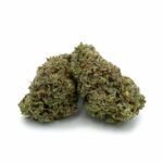 Sun Peaks Cultivation - Jet Fuel