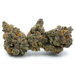 Enigma Extracts - Cheetah Piss