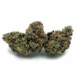 Enigma Extracts - Big League Sherbet