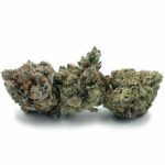 Sun Peaks Cultivation - Jedi Kush