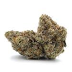 Enigma Extracts - Greasy Runtz