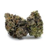 Sun Peaks Cultivation - Predator Pink
