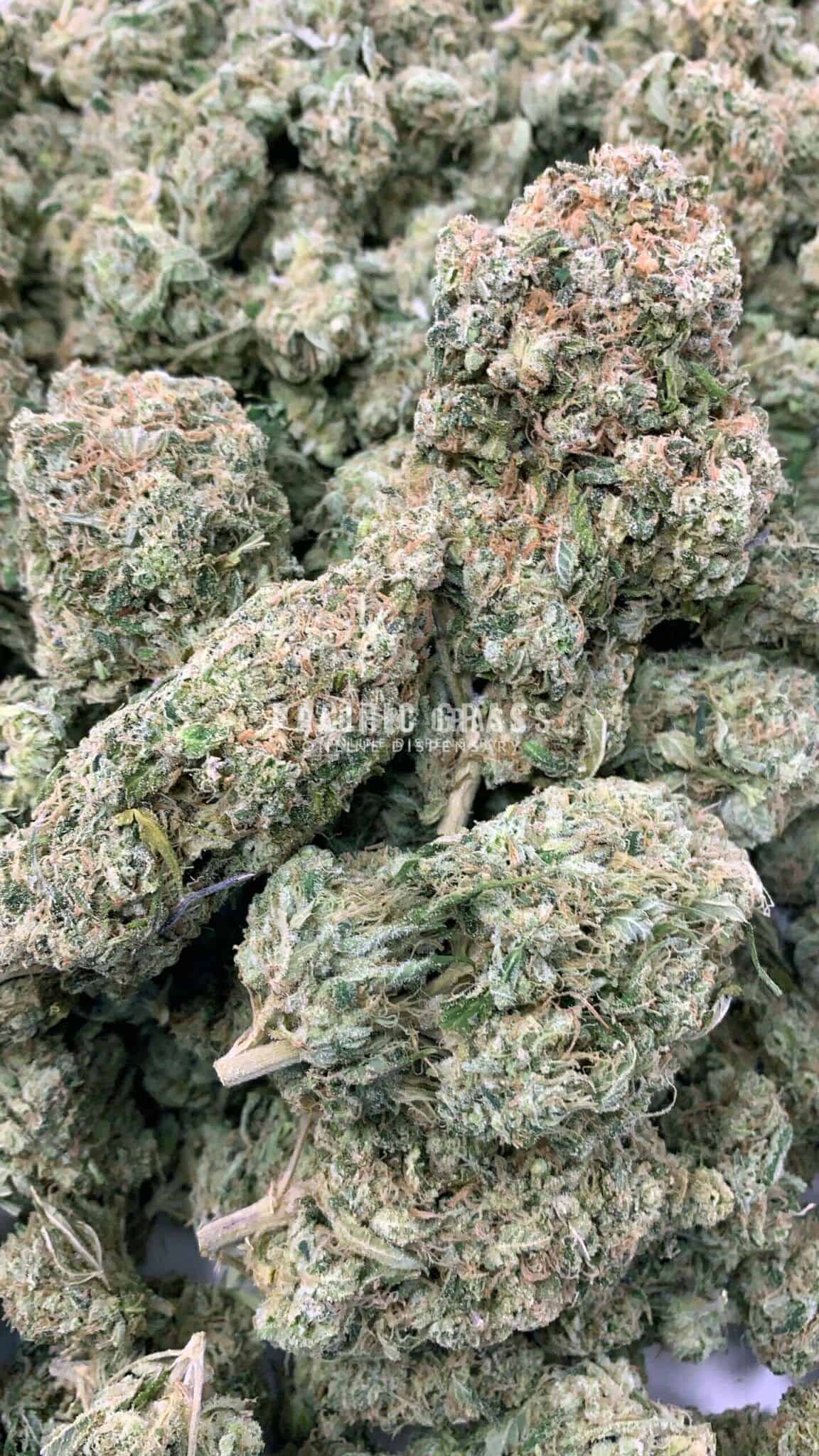 Enigma Extracts - Copper Chem