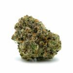 Enigma Extracts - Tina