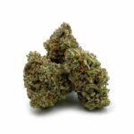 Sun Peaks Cultivation - Jet Fuel