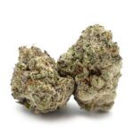 Enigma Extracts - Kombucha