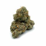 Enigma Extracts - Blue Unicorn