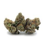 Enigma Extracts - Project Z - Smalls