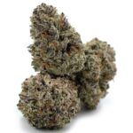 Sun Peaks Cultivation - Jet Fuel Gelato