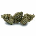 Sun Peaks Cultivation - Skunk #1