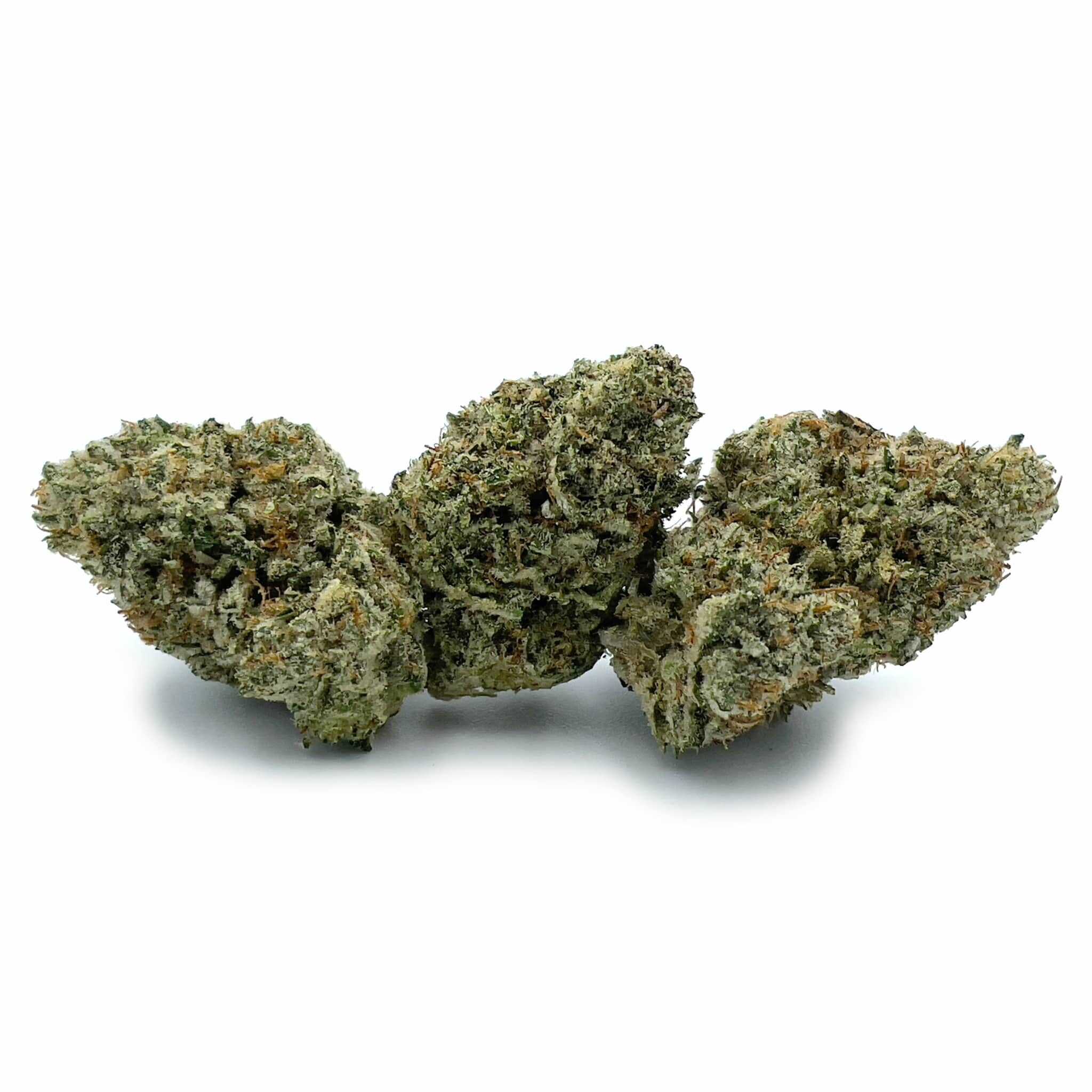 Sun Peaks Cultivation - Skunk #1