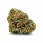 Popcorn Bubble Gum Cheese