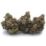 Enigma Extracts - Point Break