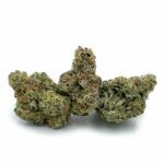 Enigma Extracts - 33rd Degree