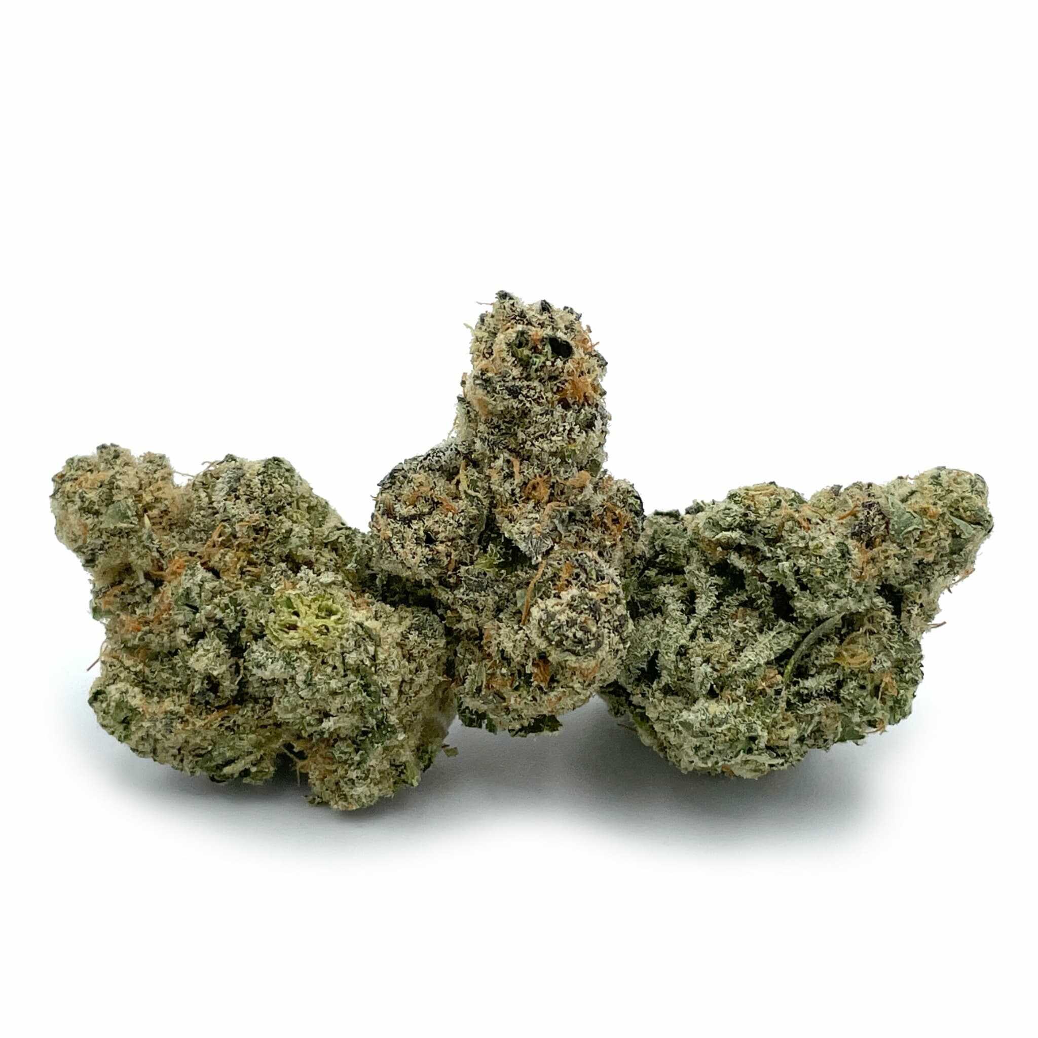 Enigma Extracts - 33rd Degree