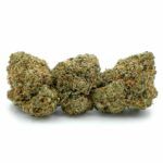 Popcorn Bubble Gum Cheese