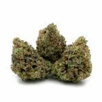 Sun Peaks Cultivation - Jet Fuel