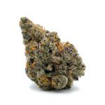 Enigma Extracts - Cheetah Piss