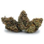 Enigma Extracts - Dosi Sundae