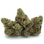 Enigma Extracts - Wild Animal Cookies