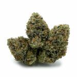 Enigma Extracts - Pink Rockstar