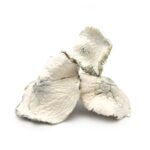 Albino Jedi Mind Fuck