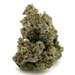 Sun Peaks Cultivation - Animal Cookies