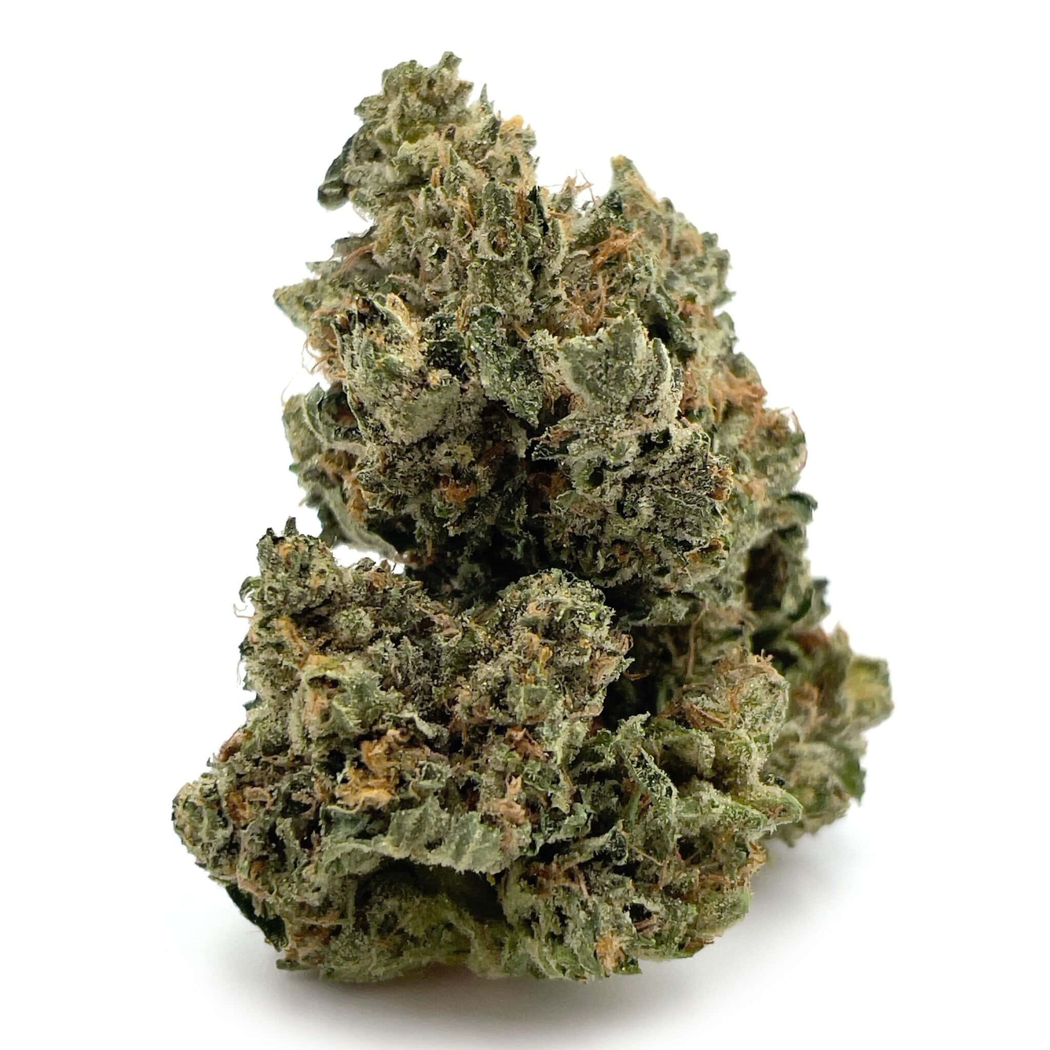 Sun Peaks Cultivation - Animal Cookies