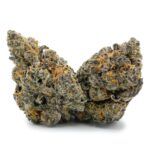 Enigma Extracts - Cheetah Piss