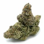 Enigma Extracts - 33rd Degree