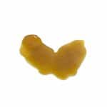 Enigma Extracts - Shatter