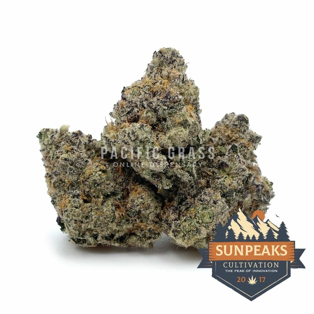 Sun Peaks Cultivation - Cheese Quake