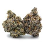 Enigma Extracts - Point Break